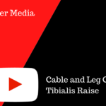 Cable and Leg Curl Tibialis Raise