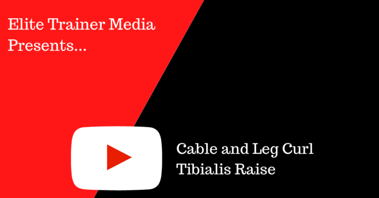 Cable and Leg Curl Tibialis Raise