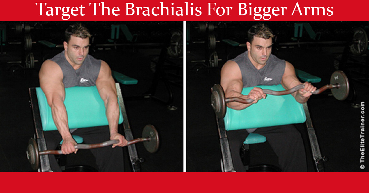 Target The Brachialis For Bigger Arms