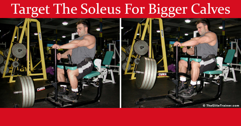 Target The Soleus For Bigger Calves The Elite Trainer