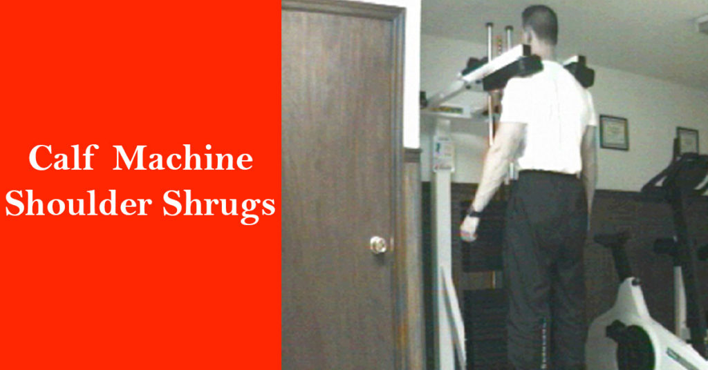 Calf Machine Shoulder Shrugs The Elite Trainer