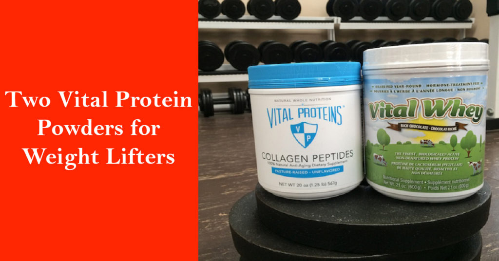 Two Vital Protein Powders for Weight Lifters The Elite Trainer