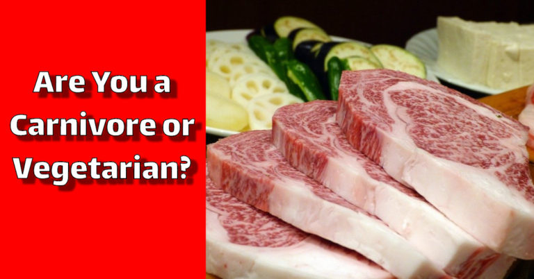 Are You a Carnivore or Vegetarian?