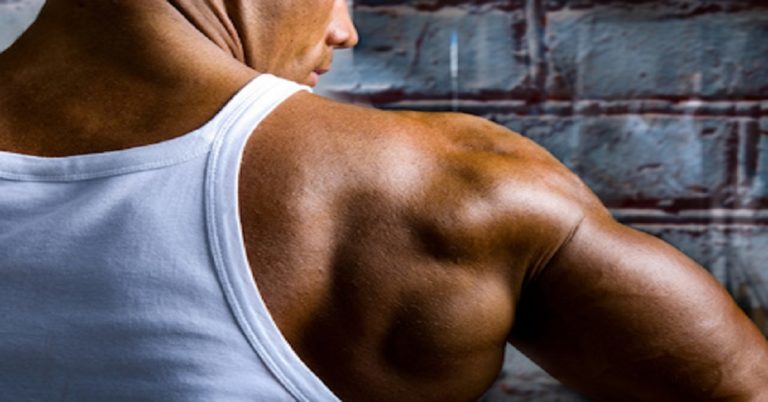 How To Build A Muscular Back
