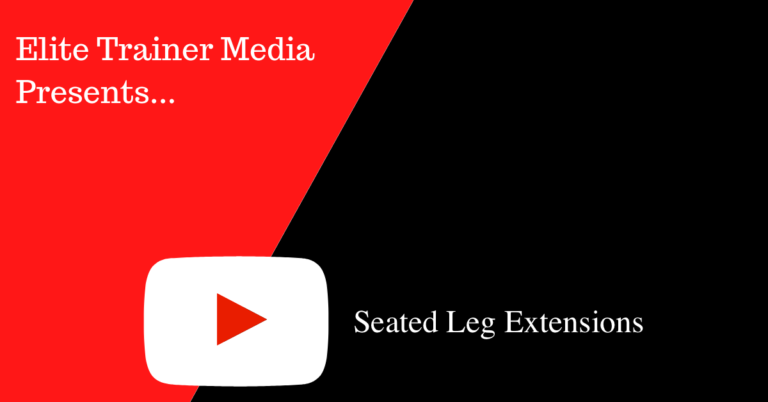 Seated Leg Extensions