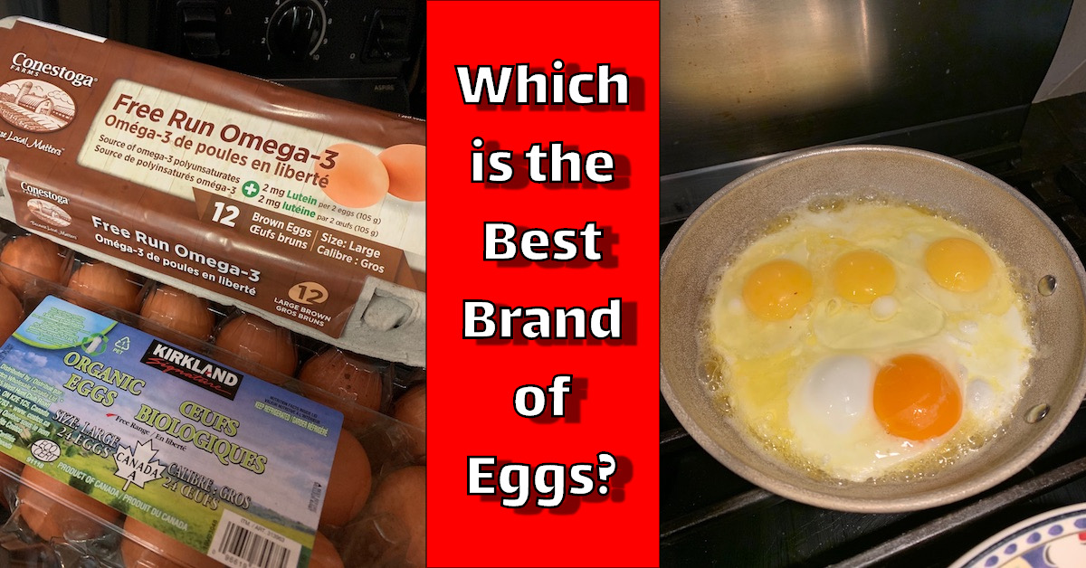 which is the best brand of eggs