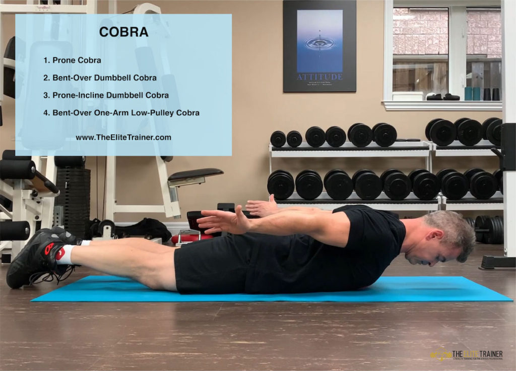 Cobra Exercise Variations